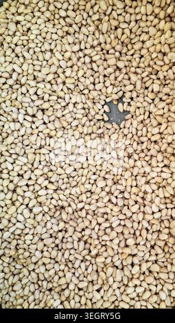A close-up view of peeled pine nuts scattered on a flat surface. The focus is on the texture and arrangement of the nuts under natural light. Stock Photo