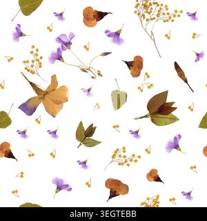 High resolution seamless pattern featuring pressed spring flowers mimosa violet and oxalis. Repeatable botanical background with dried herbarium Stock Photo