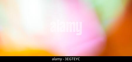 Bright abstract multicolor background with pink orange green and yellow soft blurred tones Stock Photo