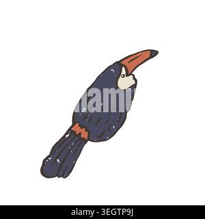 Textured vector illustration of isolated tropical toucan bird with bright orange beak. Hand drawn exotic wildlife sticker graphic Stock Vector