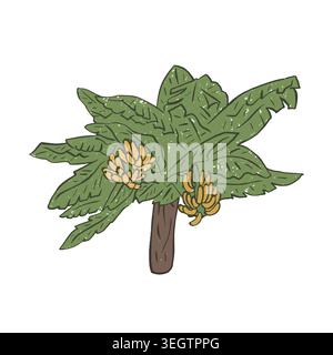 Textured vector illustration of isolated tropical banana tree with yellow fruit bunches. Hand drawn naive style exotic botanical graphic Stock Vector