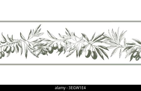Olive twigs with berries and leaves, hand-sketched. vector illustration. Spring garden branches on a seamless horizontal border, the pattern is isolat Stock Vector