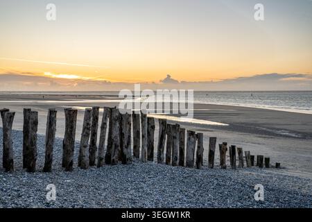 A row of wooden posts stands on the pebble and sand beach at Le Hourdel, Baie de Somme. The soft sunset light creates golden reflections in water pool Stock Photo