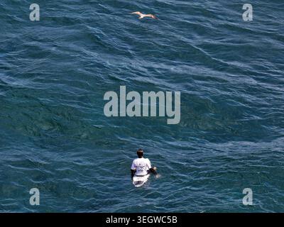 Aerial view of a surfer sitting on a surfboard in the deep blue ocean with a seagull flying overhead Ribeira Grande, Acores, Portugal. Stock Photo