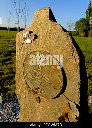 Memorial stone marking the Cheshire Lieutenancy Copse planted for the Queen’s Green Canopy at Arley Hall, Cheshire, England Stock Photo