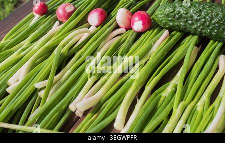 Organic green onions, radishes, and cucumber displayed on rustic wooden surface with natural farm harvest atmosphere. Stock Photo