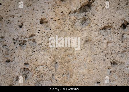 Natural porous travertine stone texture with detailed holes and beige surface Stock Photo