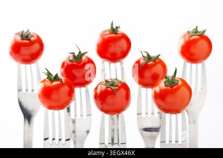 A cluster of small, red, ripe tomatoes is arranged on the tips of several forks, set against a white background. Stock Photo