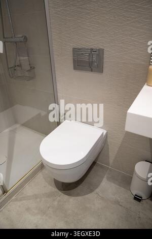 Modern bathroom interior featuring a white wall-hung toilet, sleek flush plate, grey tiled floor, and textured tiled wall, creating a clean and Stock Photo