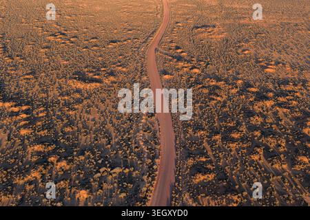 Aerial view of a winding dirt road cutting through the vast arid outback landscape with low scrub and long shadows during golden hour in Flinders Rang Stock Photo