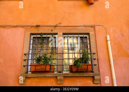 Classic rectangular window with decorative iron bars and flower pots on a bright orange stucco wall. Stock Photo