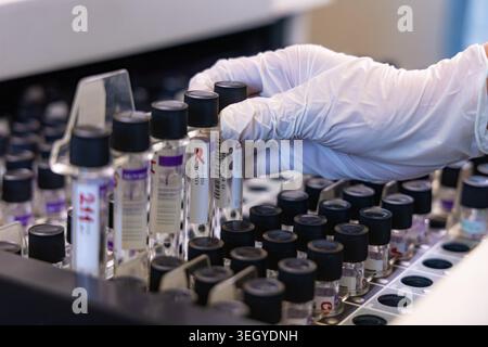Scientist Handling Blood Sample Test Tubes in Laboratory Stock Photo