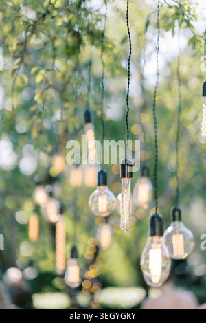 Foliage surrounds warm glowing vintage lamps. Decorative Edison bulbs provide inviting illumination outdoors Stock Photo