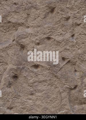 Vertical Weathered Sandstone Panel Revealing Layered Grain And Shallow Hollows, Muted Tan Hues, Subtle Patina And Wear, Soft Shadowing, Versatile For Stock Photo