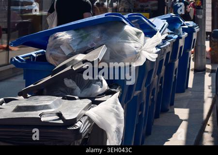 Blue recycling bins lined up along a curb in downtown Toronto with overflowing clear garbage bags, showing urban waste and recycling collection during Stock Photo