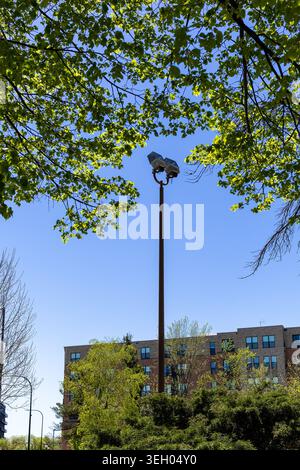 A tall light pole stands in an urban area with security cameras mounted on top. Bright green leaves surround the pole and a clear blue sky is visible. Stock Photo