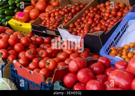 Fresh ripe red tomatoes and cherry tomatoes displayed in cardboard crates at a farmer market. Organic healthy food background with colorful produce ar Stock Photo