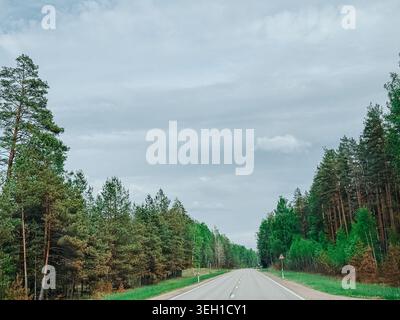 Quiet asphalt road cutting through dense green forest beneath dramatic cloudy skies. Perfect for travel, transportation, freedom, nature, infrastructu Stock Photo
