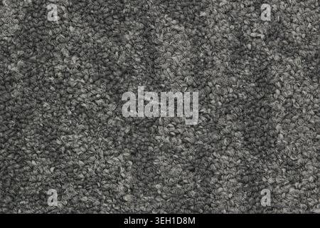 Gray carpet two tone pile color swatch sample pattern closeup details. Stock Photo