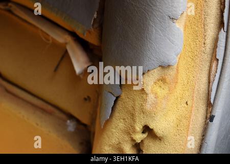 Close up of old, torn, peeling synthetic leather upholstery showing damaged yellow foam. Abstract texture of weathered, cracked, and decaying surface Stock Photo