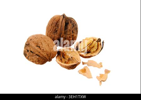 Close-up still life of whole and cracked walnuts with shelled kernels and shell fragments arranged on a white background, highlighting texture, natura Stock Photo