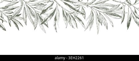 Olive twigs with berries and leaves, hand-sketched. vector illustration. Spring garden branches on a seamless horizontal border, the pattern is isolat Stock Vector