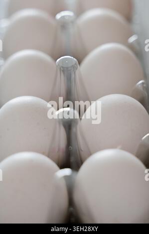 Farm fresh eggs. Collection of eggs in carton with soft focus and natural hues. Orderly rows of eggs in carton emphasizing farm freshness and subtle t Stock Photo