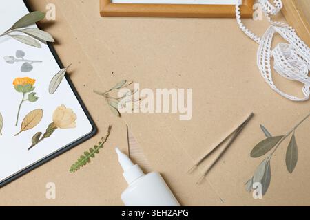Top view botanical workspace mockup with copy space on craft paper. Herbarium notebook featuring pressed olive leaves and yellow flowers with craft Stock Photo