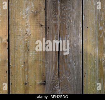 Close up of wood plank siding with worn brown stain, visible natural patina wood color, strong wood grain Stock Photo