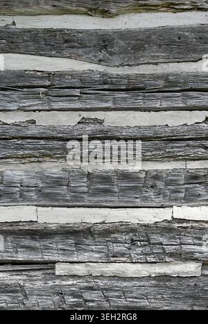 Vertical close up of a weathered log cabin wall with flat cracked uneven wood logs and wide porous chipped cracked chinking between the logs Stock Photo