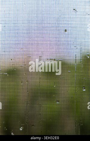 Wet mosquito net after rain, featuring small water droplets trapped in the grid against a soft bokeh nature background. Stock Photo