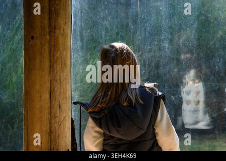 Woman gazes through wet glass at lush greenery. She wears a dark hoodie, her hair loose. Rain streaks the window, blurring distant leaves. Her posture Stock Photo