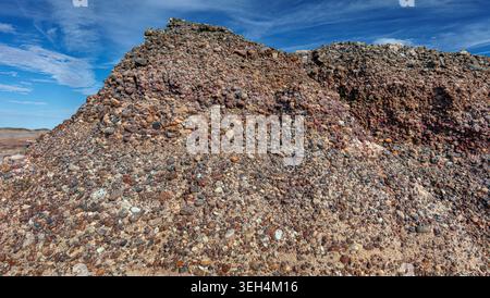 Rounded pebbles and cobbles cemented together form a coarse conglomerate outcrop in the colorful badlands of Petrified Forest National Park. Stock Photo