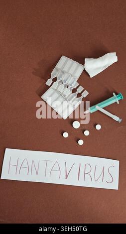 Medical flat lay featuring handwritten hantavirus text with syringe, tissues and white pills on brown background. Healthcare and dangerous virus Stock Photo
