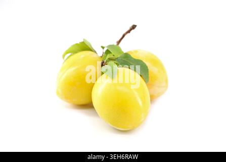 Yellow wild plums isolated on a white background. Stock Photo