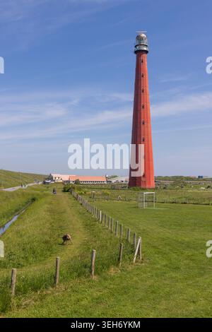Den Helder, Netherlands. The iconic tall red Lange Jaap lighthouse towering over a green coastal landscape, with a person walking a dog along a grassy Stock Photo