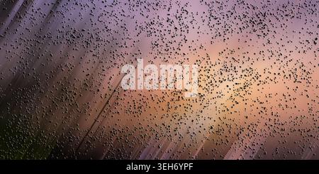 A dynamic abstract composition featuring numerous small dark particles scattered over a background of soft, diagonal light streaks in purple and orang Stock Photo
