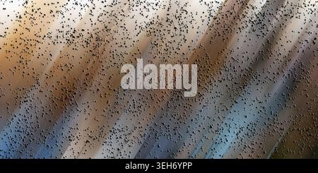 A textured abstract background showing diagonal gradients of beige, blue, and brown, covered by a uniform layer of small black circular shapes. Stock Photo