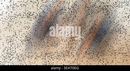 An abstract image showing a field of small dark dots layered over a soft, diagonal gradient background with beige, grey, and orange tones. Stock Photo