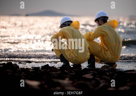 Scientists in yellow suits are collecting water samples from the coastline, flowing away from an oil refinery, before taking the water to the laboratory for further analysis Stock Photo