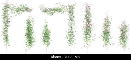 Isolated Pink bower vine leaves in 3d rendering on white background Stock Vector