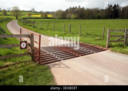 A cattle grid on a road in the uk countryside. Stock Photo
