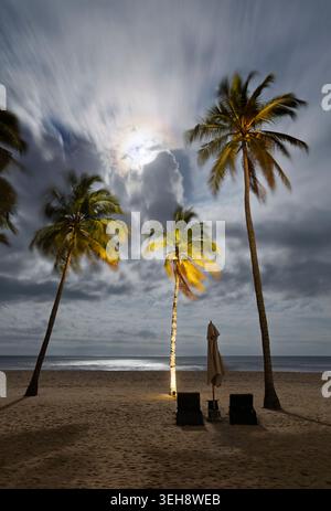Palm trees on a beach under moonlight, Sri Lanka Stock Photo