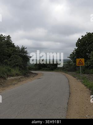 Rural road curves through green rolling hills under an overcast sky, framed by trees and bushes, with a yellow construction warning sign signaling wor Stock Photo