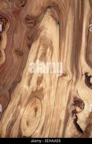 Olive wood grain flowing like a topographic map, with warm caramel tones, knots and natural swirls shaped by time. Stock Photo