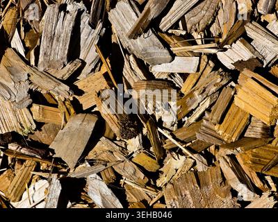 Wood Chips Texture Background in Sunlight Stock Photo