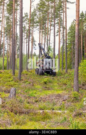 Forwarder with logs in a pine woodland Stock Photo