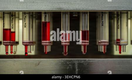Undesired sample components drip from a solid phase extraction column on a positive pressure manifold, in the extractions laboratory of the FORTOX div Stock Photo