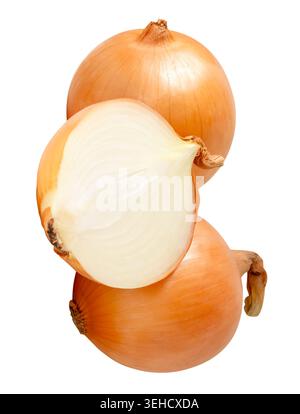 Two bulbs of white or big onion with slices in half in stack are isolated on white background with clipping path. Stock Photo