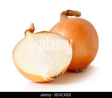 One bulb of white or big onion with slices in half in stack is isolated on white background with clipping path. Stock Photo